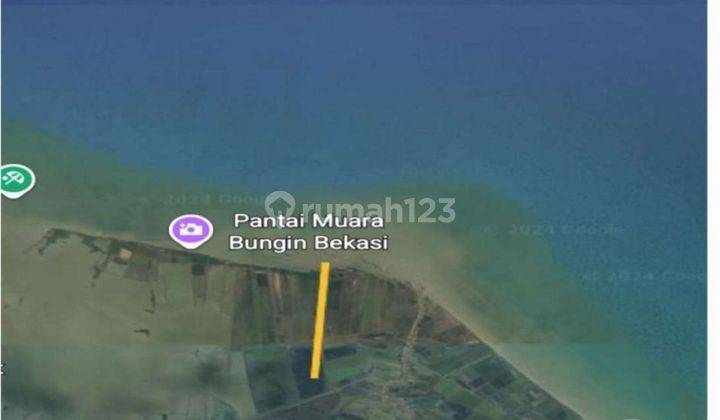 Tambak ikan muara gembong bekasi  2