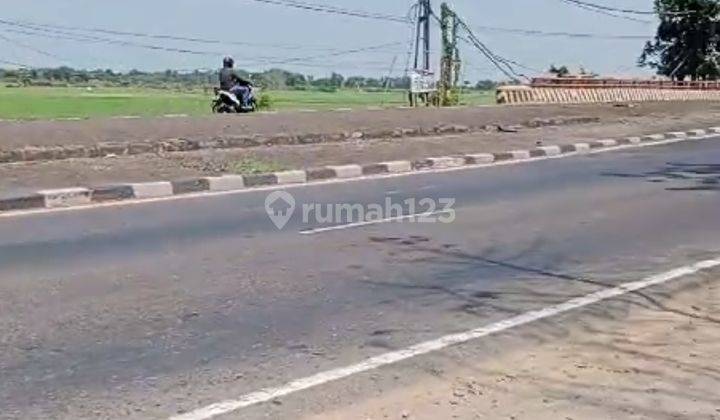 Tanah Patimban Pinggir Pantura Lebar 150m Mandusari Subang 1