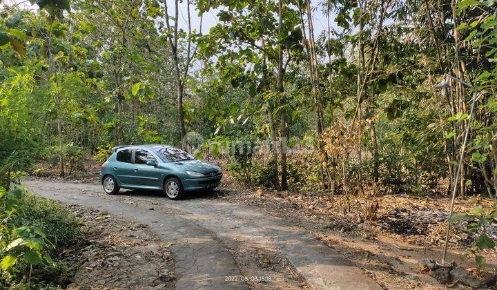 Tanah Murah Shm Gunung Kidul Jogyakarta  1