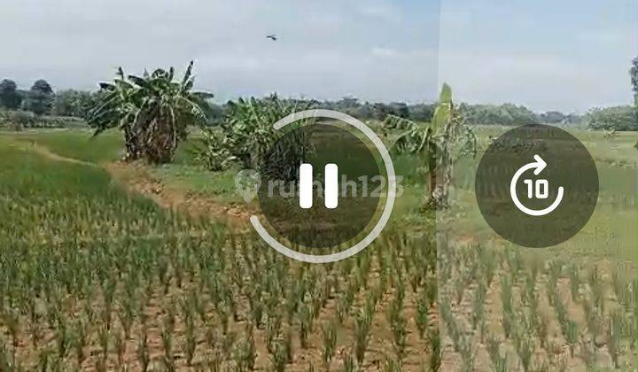 Tanah Murah Zona Industri Cipunagara Subang 2
