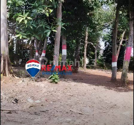 Kavling Bebas Banjir, Luas 1450m2 Lokasi Strategis 1