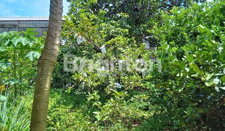 LAND IN SAWANGAN NEAR THE TOLL ROAD, ACCESSIBLE BY CAR.