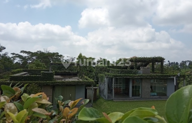 Resort For Sale In Subang, Comfortable Environment