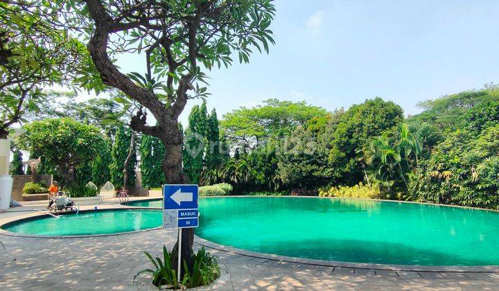 Kavling orchard 276m, utara, jalan besar, asri, murah, langka 2