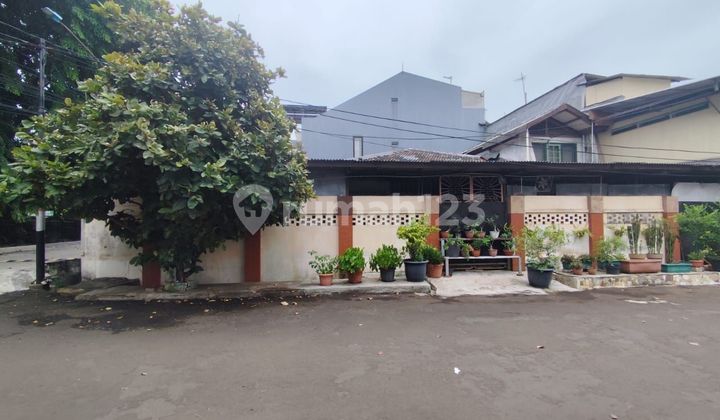 Janur Kuning 300m, Huk, Jalan Besar, Murah, Shm