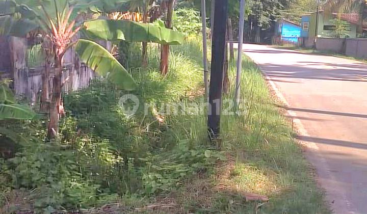 Tanah Carita View Bukit 3Ha