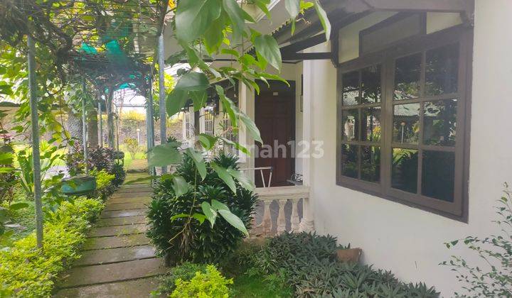 Vila Puncak Luas Taman Terawat Cipanas Lokasi Strategis Harga Ok 2