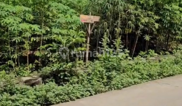 Tanah Karawang Barat Teluk Jambe Desa Purwadana Kampung Bobojong 900m2 Tanah Karawang Barat Teluk Jambe Desa Purwadana Kampung Bobojong 900m2