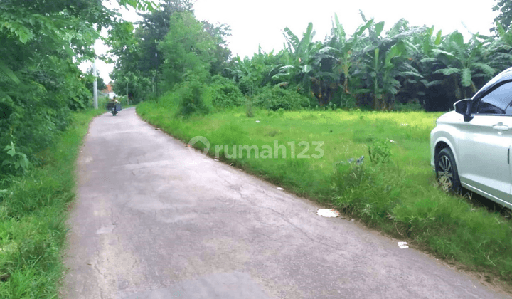 Dijual Tanah Kavling Pinggir Jalan 70 Jt an di Japura Diskon 5 Jt 1