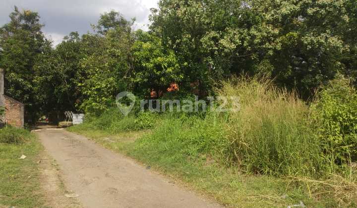 Tanah Kavling di Buntet Cirebon Timur:  Free Biaya AJB 1