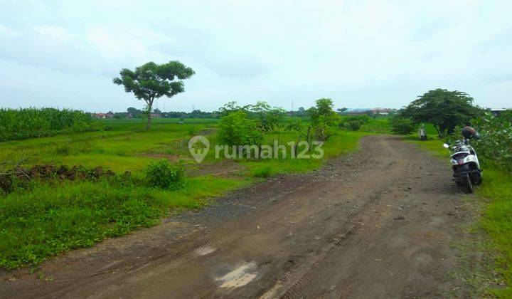 Tanah Kavling Angsuran 36X; Dekat Pasar Cipeujeuh 1