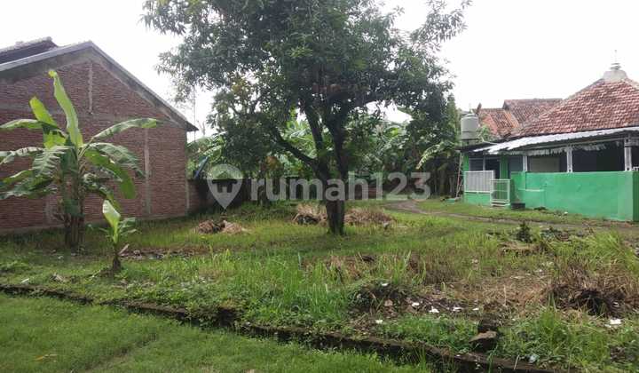 Kavling SHM; CASH DISKON 5 JT - Dekat Pasar Lemahabang 1