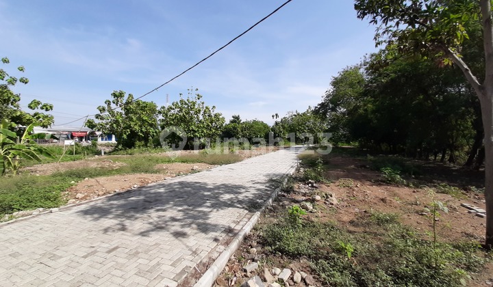 Kavling Pangenan 60 Jt an Cash Diskon 5 Jt 200 M Ke Jl.pantura 2