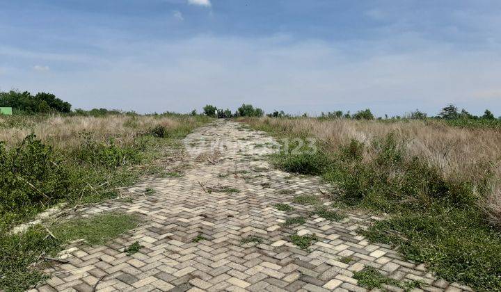 DISKON KHUSUS CASH: Tanah Kavling Buntet 30 JT-an 1