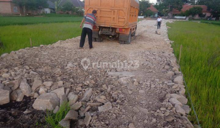 Dijual Tanah Kavling Murah Free Biaya AJB: di Sigong Lemahabang 1