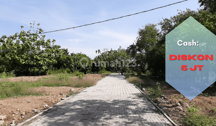 Kavling Pangenan 60 Jt an Cash Diskon 5 Jt 200 M Ke Jl.pantura 1