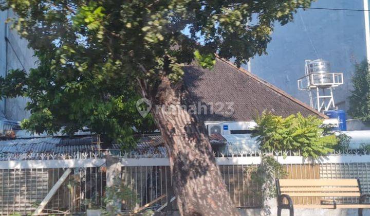 Dijual Rumah Tua Jl. Musi Cideng 2