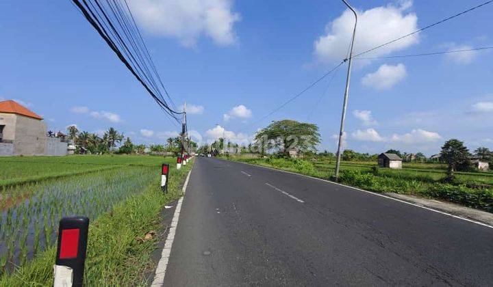 Kavling hook murah di jalan utama Angantaka - Abiansemal 1