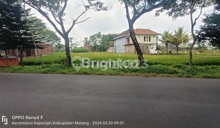 Tanah Strategis Pinggir Jalan LT. 1.000 m2 di Jalan Kembar Jalibar, Kepanjen Tanah Strategis Pinggir Jalan LT. 1.000 m2 di Jalan Kembar Jalibar, Kepanjen