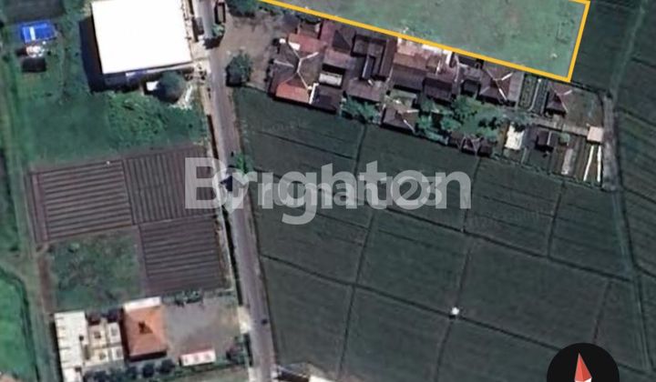 Land Ready to Build, Land Area 2,269 m² in Sekarpuro Village, Pakis Sub-district, Malang Regency. Land Ready to Build, Land Area 2,269 m² in Sekarpuro Village, Pakis Sub-district, Malang Regency.