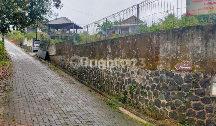 Tanah Kebun Produktif 992 m2 Cocok untuk Villa di Dsn Rekesan, Bulukerto, Kec. Bumiaji, Kota Batu