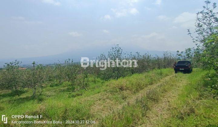 Tanah 3,7 Ha Cocok untuk Villa atau Peternakan/Perkebunan di Bumiaji, Kota Batu, Jawa Timur 2