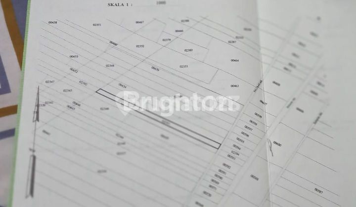 Tanah Strategis Pinggir Jalan LT. 2.389 m2 di Jalan Kembar, Jalibar, Kepanjen Tanah Strategis Pinggir Jalan LT. 2.389 m2 di Jalan Kembar, Jalibar, Kepanjen