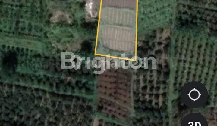 TANAH 895 M2 DI JL RAYA SEMPU, TEGALWERU, DAU, KAB MALANG