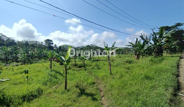 TANAH PINGGIR JALAN LUAS 21.246 M2 DI KALITIMBANG, DESA TAMBAKREJO, KEC SUMBER MANJING WETAN, KAB MALANG 2