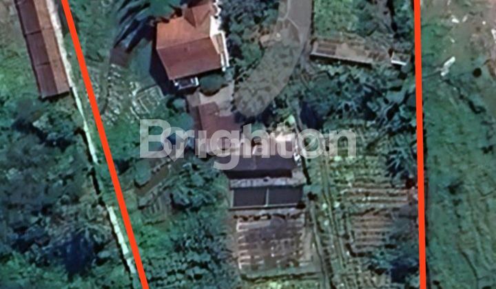 Tanah Bonus Bangunan Rumah Diatasnya LT. 5.263 m2 di Jl. Raya Dieng, Sidomulyo, Kec. Batu, Kota Batu Tanah Bonus Bangunan Rumah Diatasnya LT. 5.263 m2 di Jl. Raya Dieng, Sidomulyo, Kec. Batu, Kota Batu