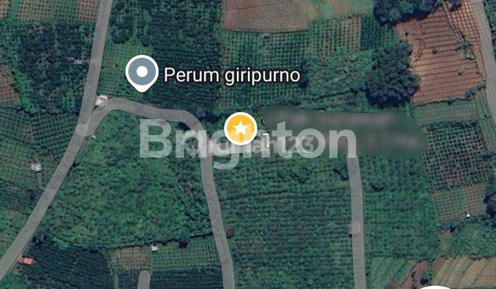 Tanah 3,7 Ha Cocok untuk Villa atau Peternakan/Perkebunan di Bumiaji, Kota Batu, Jawa Timur 1