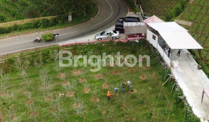 TANAH KEBUN APEL VIEW BAGUS LT 1 HEKTAR M2 DI BATU JUNGGO, JL RAYA SUMBER BRANTAS, TULUNGREJO, KEC BUMIAJI, KOTA BATU 1