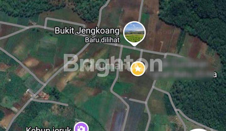 Tanah 35 Ha Cocok untuk Resort atau Peternakan di Bumiaji, Kota Batu, Jawa Timur 1