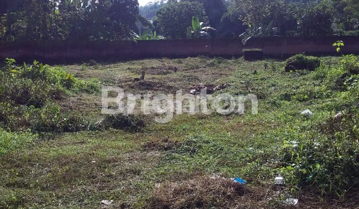 Ready-to-Build Plot Land, LT. 996 m2, on Jl Lesanpuro, Kedungkandang, Malang City. Ready-to-Build Plot Land, LT. 996 m2, on Jl Lesanpuro, Kedungkandang, Malang City.