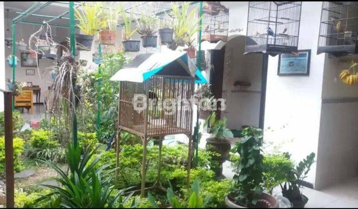 RUMAH ASRI TERMASUK PERABOT MAU PINDAH KE LUAR KOTA DI JL KANJURUHAN, TLOGOMAS, LOWOKWARU, MALANG 2