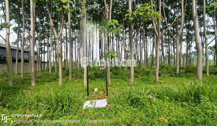 Tanah Kawasan Industri Siap Bangun untuk Gudang / Pabrik LT. 9.175 m2 di Krajan, Pakisjajar, Kec. Pakis, Kabupaten Malang 1