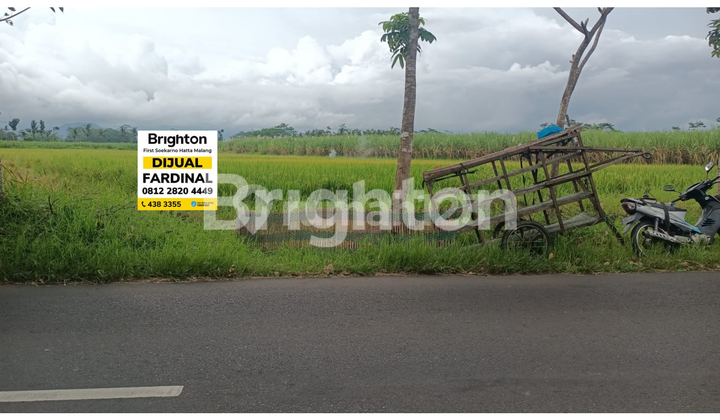 LAND ON KARANGDUREN MAIN ROAD, PAKISAJI, MALANG