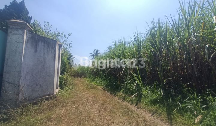 LAND 25,762 M2 ON JL KERAMAT, BONANGAN, SUMBERKRADENAN, PAKIS DISTRICT, MALANG REGENCY LAND 25,762 M2 ON JL KERAMAT, BONANGAN, SUMBERKRADENAN, PAKIS DISTRICT, MALANG REGENCY