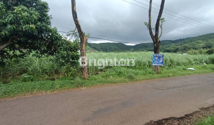 TANAH COCOK UNTUK GUDANG LT 8.810 M2 DI JL INSPOL SUWOTO, KRAJAN, SRIGADING, SIDODADI, KEC LAWANG, KAB MALANG
