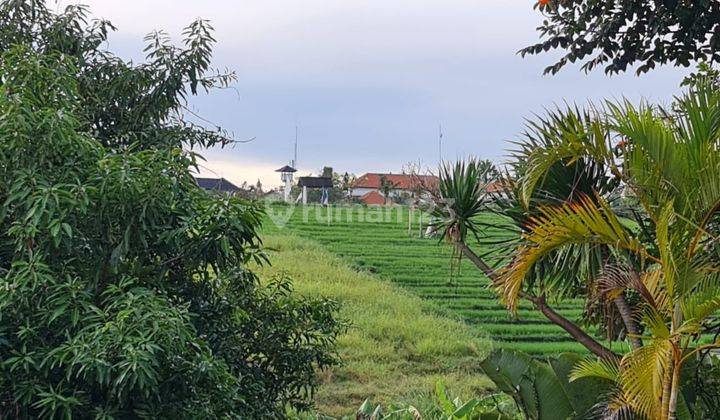Dijual Tanah +Vila Kintamani Brawa 1