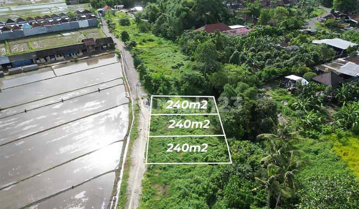 Land Plot for Sale in Nyitdah - Tabanan