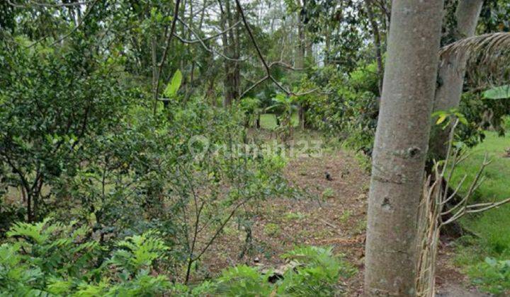 Land For Lease BINGIN, Uluwatu 2