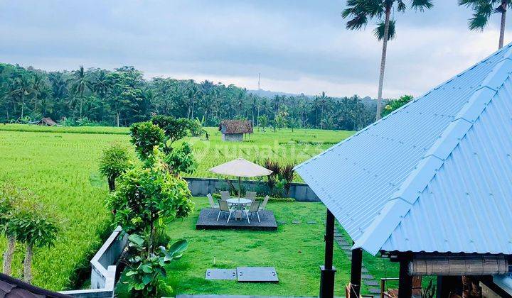 For Sale Viilla Di Tegallalang Ubud Bali View Sawah Dan Tempat Sangat Sejuk Dan Lingkungan Villa 2