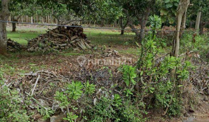 Land For Lease BINGIN, Uluwatu 1