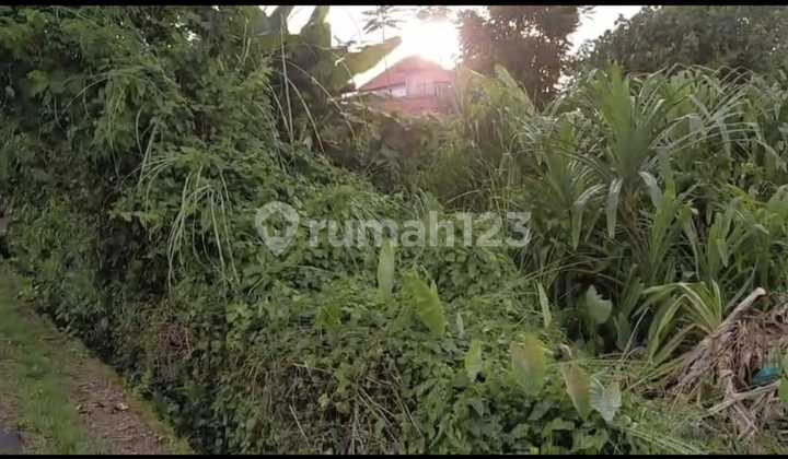 Dijual Tanah Lokasi Jalan Utama dan Langsung Loss Sungai Tepatnya di Pererenan Tumbak Bayuh Dijual Tanah Lokasi Jalan Utama dan Langsung Loss Sungai Tepatnya di Pererenan Tumbak Bayuh