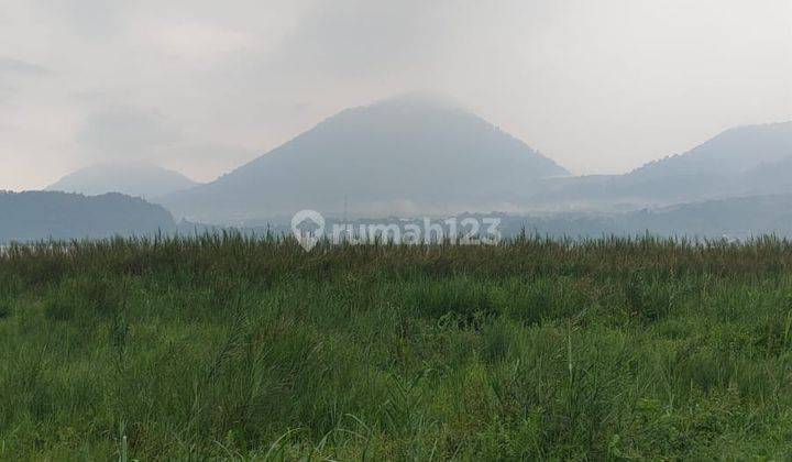 Premium Land For Sale At Lake Beratan Bedugul Bali. 2