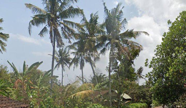 Land For Sale Super Flat Land 300 M To Kelating Beach Tabanan Bali 2