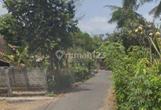 Land For Sale Super Flat Land 300 M To Kelating Beach Tabanan Bali 1