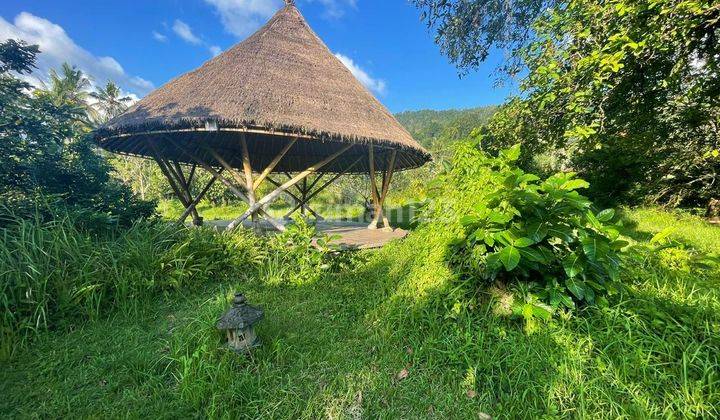 Tanah Dijual Los Sungai, View Gunung, Bukit Sawah Terasering di Sedemen Karangasem 2