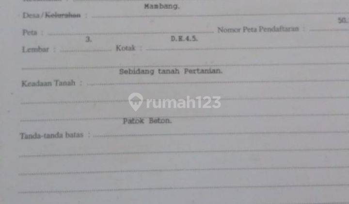 Tanah Dijual Dipasarakan Kembali Lahan Kebun Plat di Selemadeg Timur Tabanan Bali 2